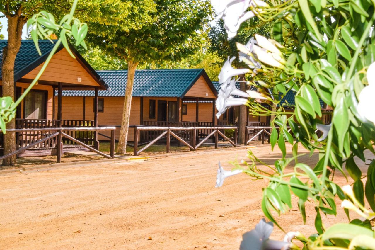 Camping La Aldea エル・ロシオ エクステリア 写真